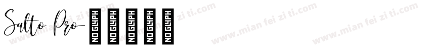 Salto Pro字体转换